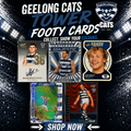 Geelong Cats Tower ($12 per card)