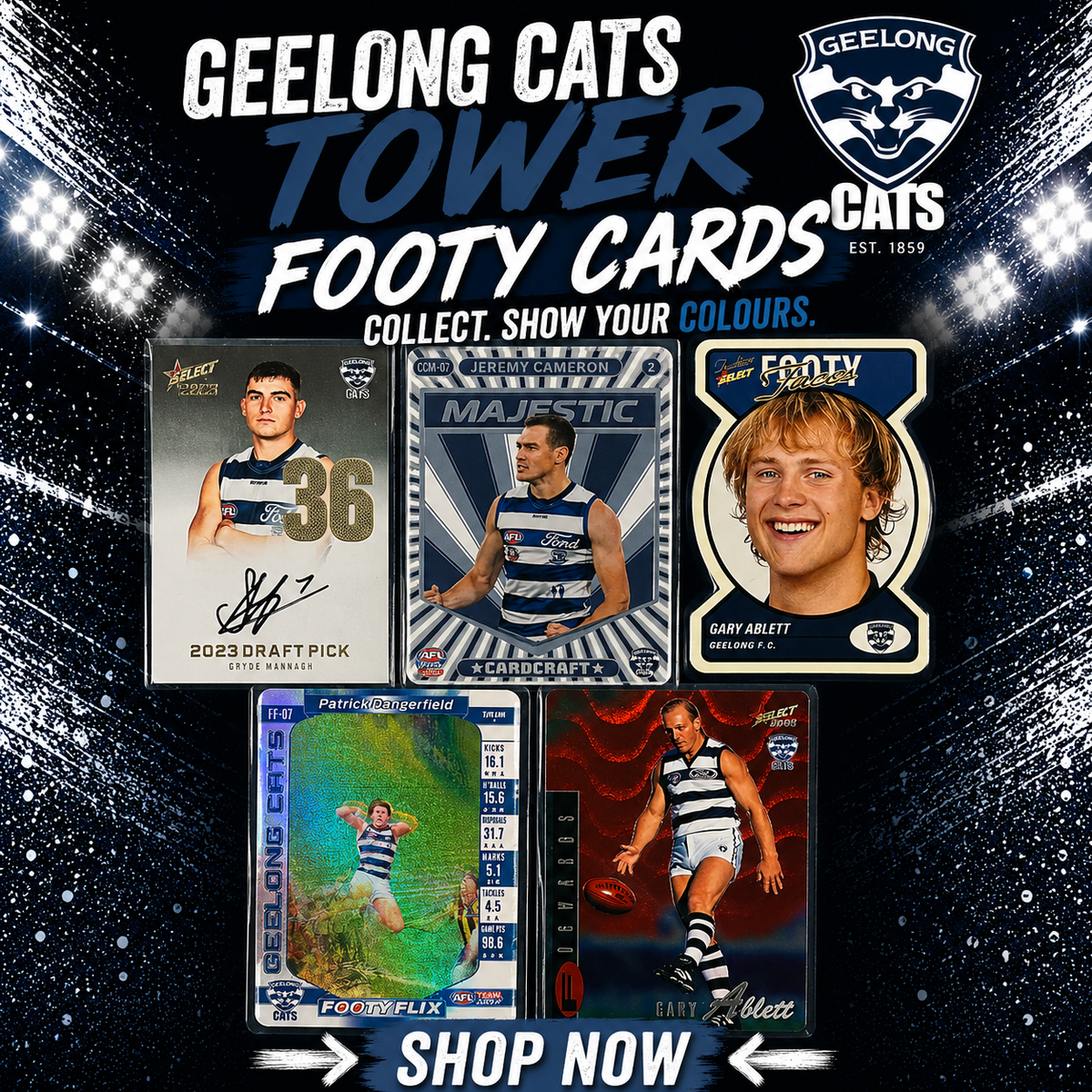 Geelong Cats Tower ($12 per card)