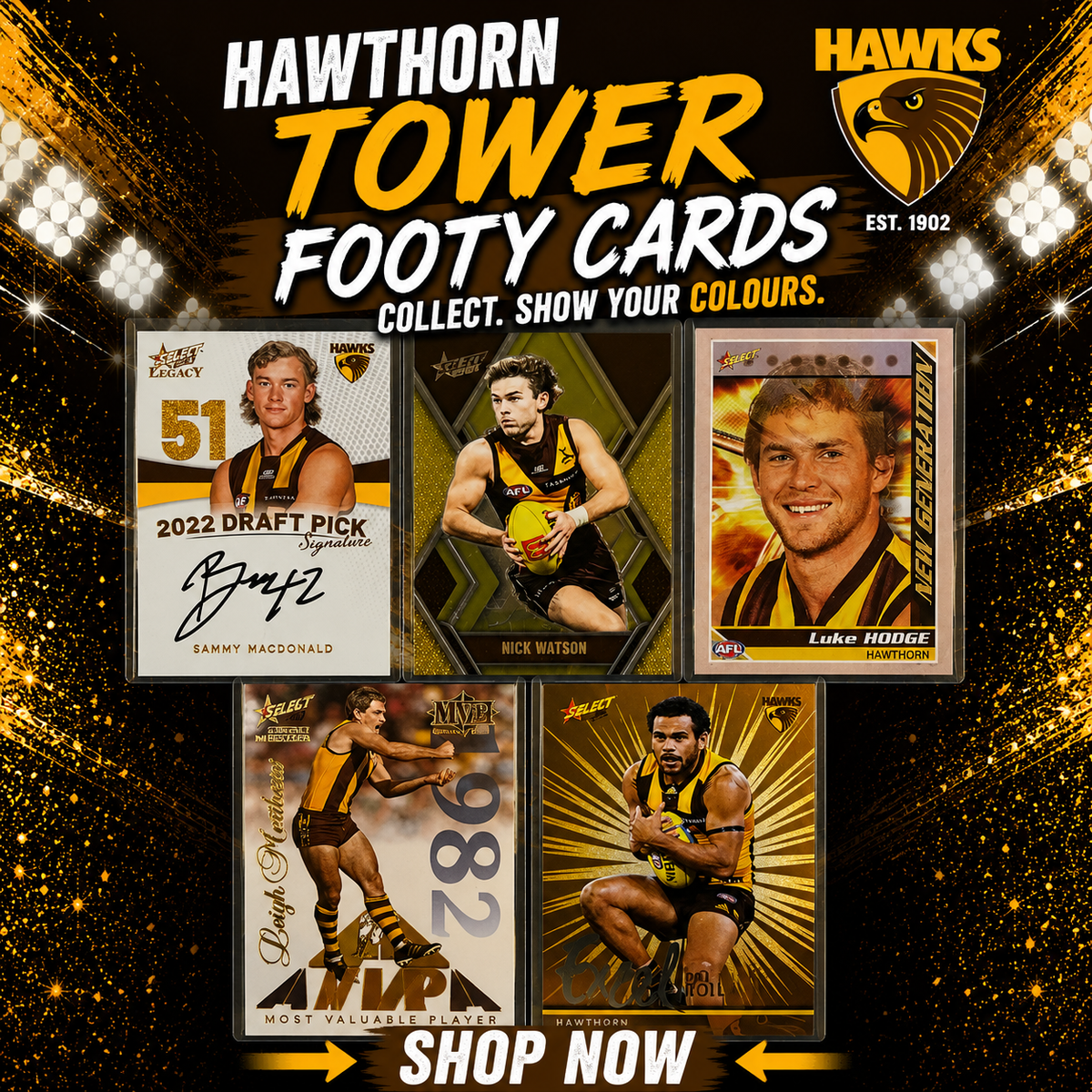 Hawthorn Hawks Tower ($12 per card)