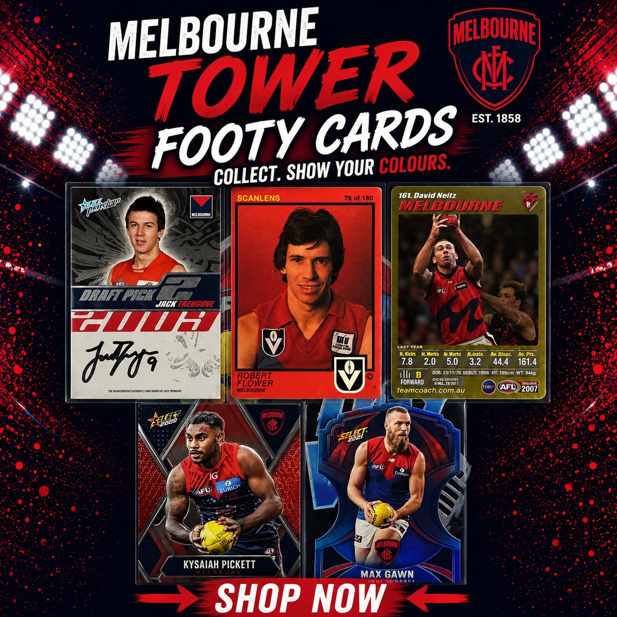 Melbourne Demons Tower ($12 per card)