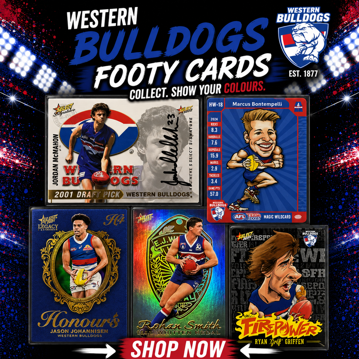 Western Bulldogs Tower ($12 per card)